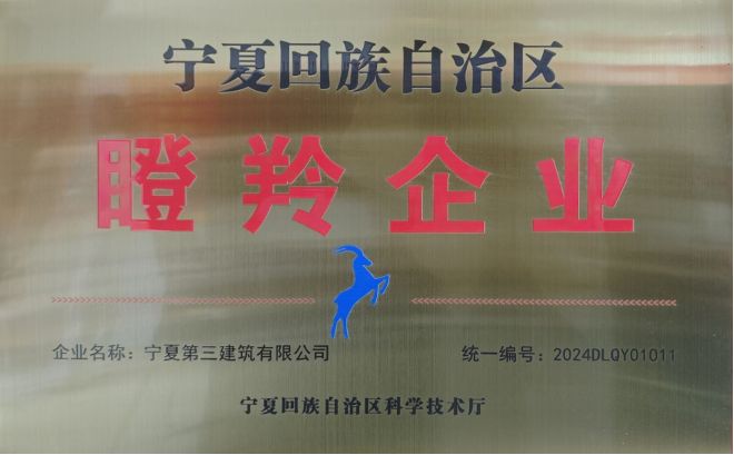 宁夏三建获评“自治区瞪羚企业”